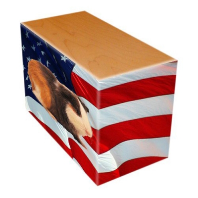 US Flag Pet Picture Oak Urns