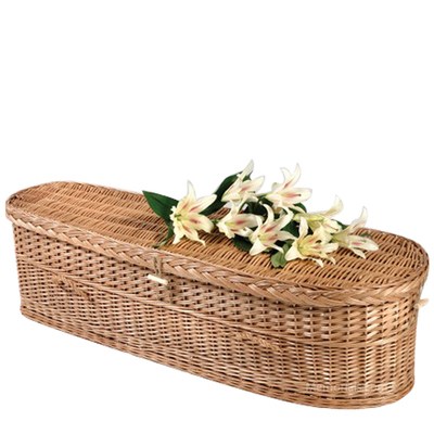 Willow Large Green Casket